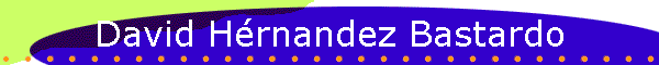 David Hrnandez Bastardo